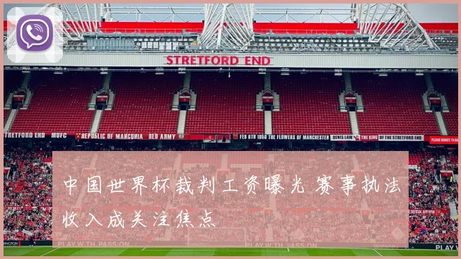 中国世界杯裁判工资曝光 赛事执法收入成关注焦点
