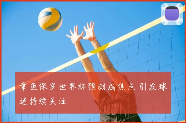 章鱼保罗世界杯预测成焦点 引发球迷持续关注
