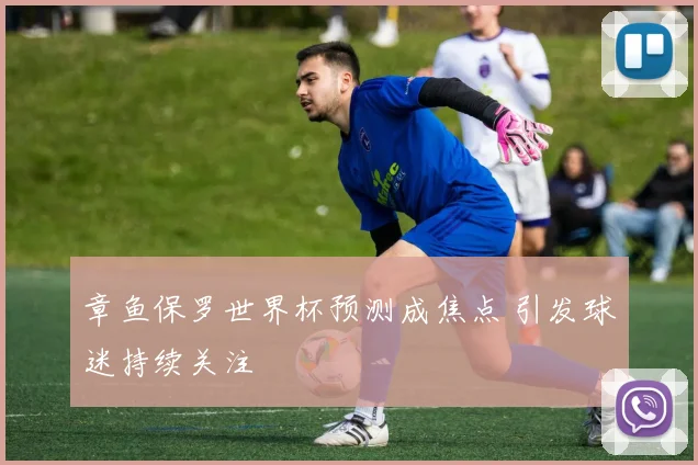 章鱼保罗世界杯预测成焦点 引发球迷持续关注