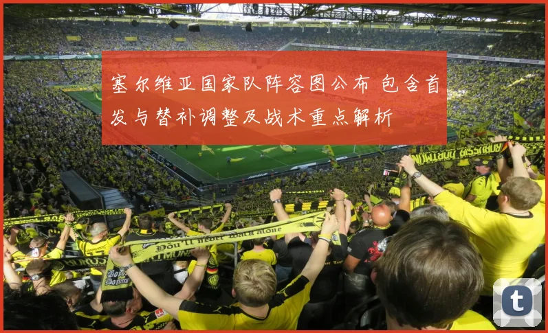 塞尔维亚国家队阵容图公布 包含首发与替补调整及战术重点解析