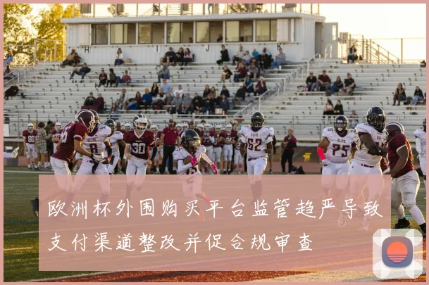 欧洲杯外围购买平台监管趋严导致支付渠道整改并促合规审查