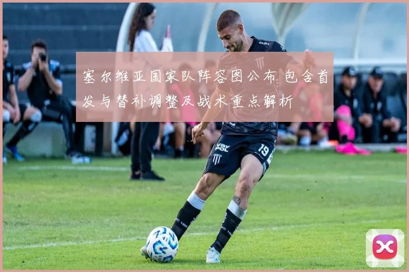 塞尔维亚国家队阵容图公布 包含首发与替补调整及战术重点解析