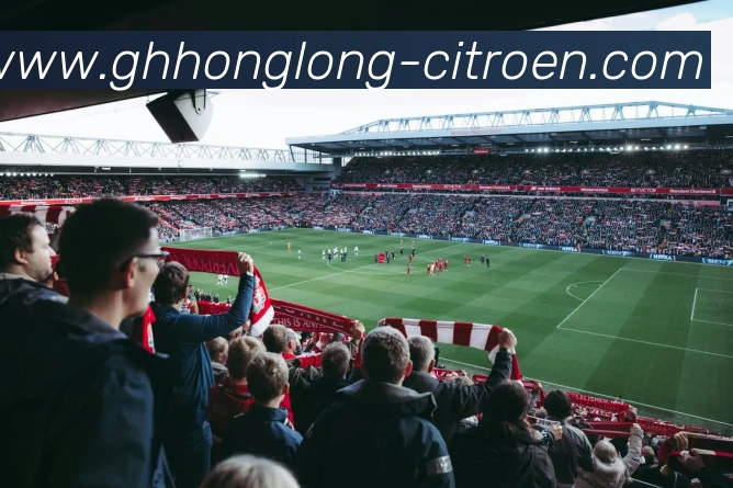 必一运动官网下载发展历程